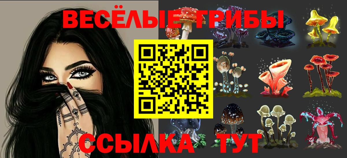 Дедовск  Галлюциногенные грибы Psilocybine cubensis  Вход с VPN 