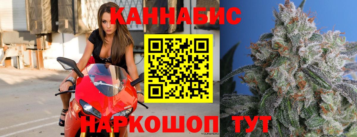 Канабис гибрид Дедовск